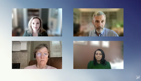 AEI webinar screen grab