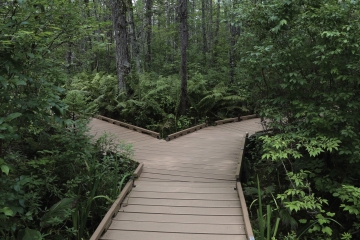 pathway in New England