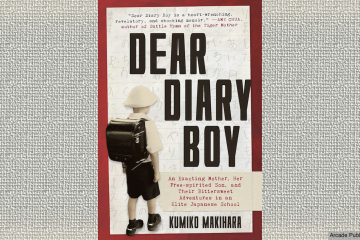 "Dear Diary Boy" book cover
