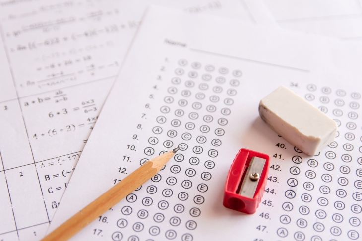 Vlad Kogan guest blog on test scores image