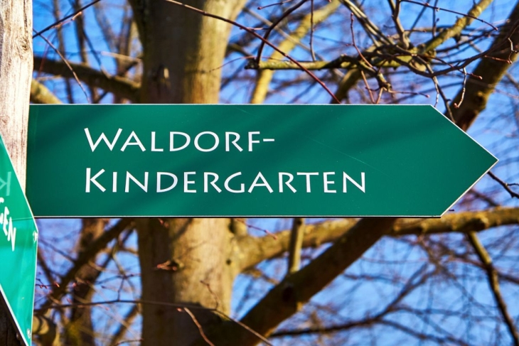 Waldorf vs other public schools SR image