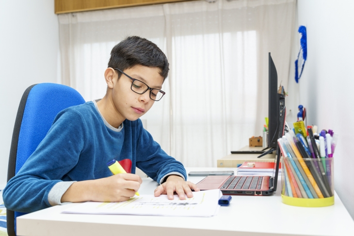 Student doing schoolwork at home